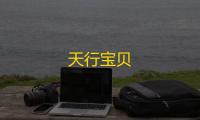 天行宝贝